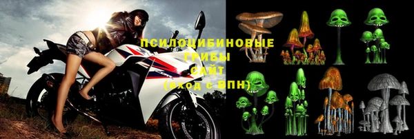 винт Баксан
