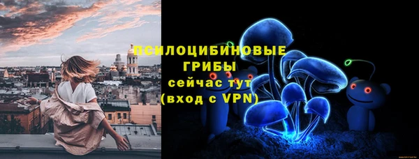 прущие грибы Балахна