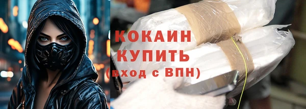 прущие грибы Балахна