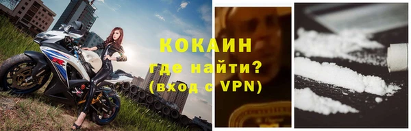прущие грибы Балахна
