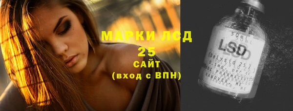 прущие грибы Балахна