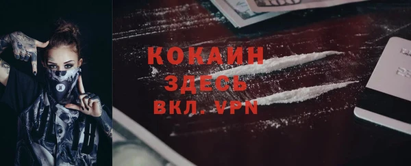 прущие грибы Балахна