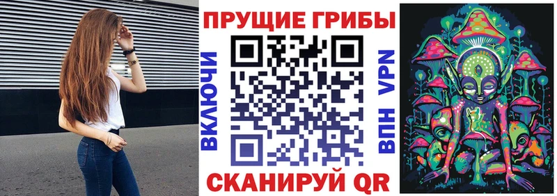 Галлюциногенные грибы Magic Shrooms  Купить закладки  Алупка 